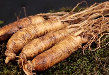 滋補養(yǎng)生產(chǎn)品人參穿“新衣”，舊貌變新顏