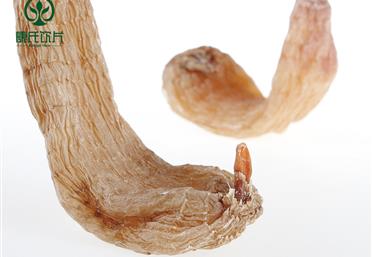 天麻的正常生長(zhǎng)離不開(kāi)這些條件天麻的好處和壞處 - 中藥飲片代工