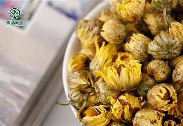 挑選胎菊，這幾點(diǎn)需要格外注意 - 代用茶代工