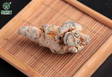 三七頭干度越干越適合打粉，三七頭的干度怎么衡量 - 三七粉代工