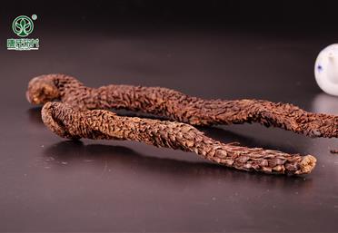 探訪長(zhǎng)壽之鄉(xiāng)的秘密 - 滋補(bǔ)養(yǎng)生產(chǎn)品