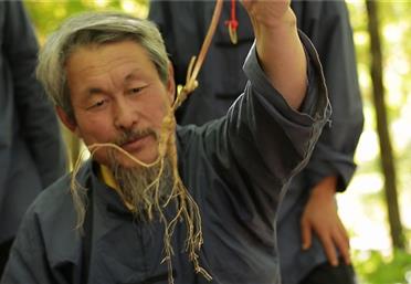 人參蘆頭竟然有這么多學問，看完長見識了人參蘆頭是什么康氏中藥飲片代工定制OEM