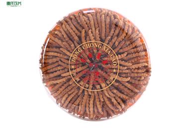 “東方瑰寶”冬蟲夏草，四個(gè)步驟教你辨別蟲草品質(zhì)衛(wèi)康旗下康氏中藥飲片西洋參、冬蟲夏草代工、定州、OEM