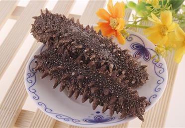 海味珍饈數(shù)海參！全家老少食遼參，即食縱享好滋味，康氏中藥飲片代工定制OEM