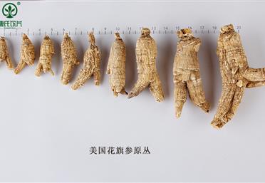 西洋參規(guī)格分類大全，這么分簡(jiǎn)單又好記-康氏中藥飲片代工定制OEM-西洋參禮品定制