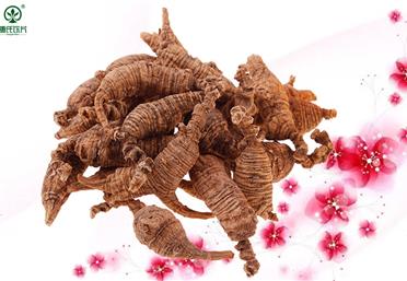 康氏中藥飲片告訴你野山參和野生西洋參在五形六體上的區(qū)別-中藥飲片代工定制OEM